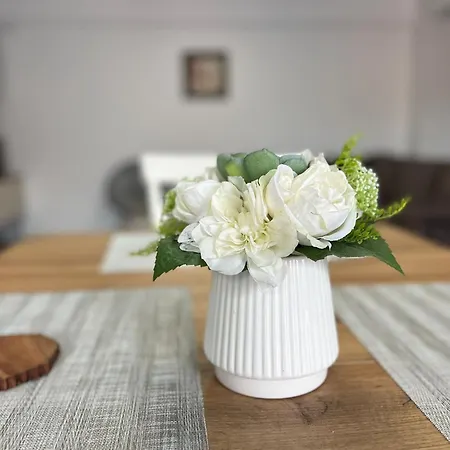 Cozy North 11 아파트 클루지나포카