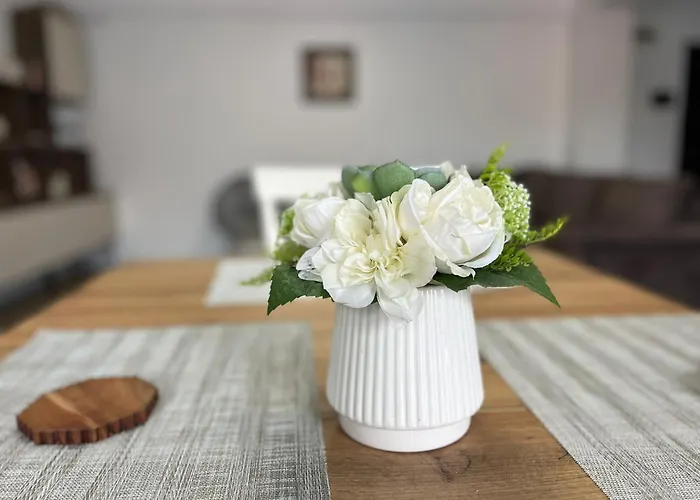 Cozy North 11 Apartament Cluj-Napoca